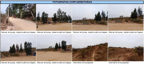 Agrícola En Venta En Villa Alemana
