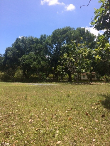 Melhor Área P/loteamento 91m Beira Pista, Granja 5.05 Hec, Guabiraba, Aceito Imóvel Ou Carro - Ch00009 - 67721727