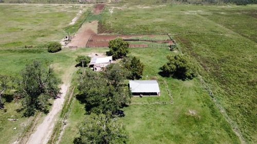 Imagen 1 de 10 de Campo De 1500 Ha Agrícola-ganadero - Galvez