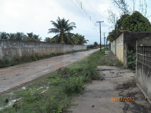 Imagem 12 de 13 de Terreno Em Catuama - Tr-05