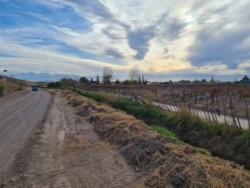 Imagen 2 de 30 de Finca Disponible En Fracciones Ideal Para Galpones O Loteo