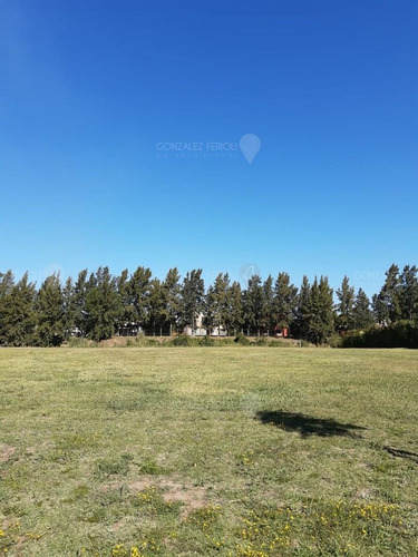 Imagen 5 de 7 de Terreno Lote En Venta Ubicado En San Benito, Villanueva (tigre)