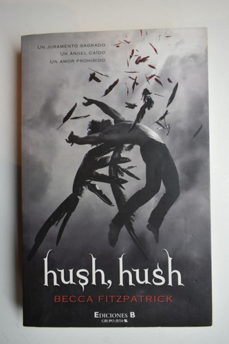 Hush, Hush Becca Fitzpatrick                             C21