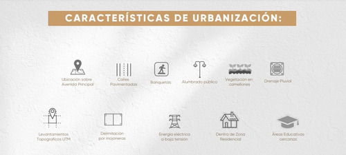 Imagen 5 de 16 de Terreno En Venta En Cholul
