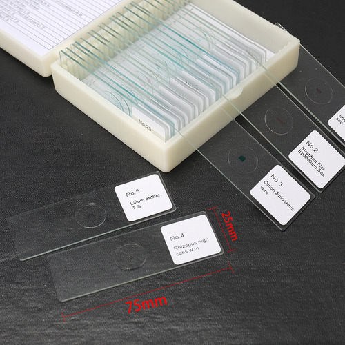Kit De Muestras Biológicas Preparadas Para Microscopio 25 U.
