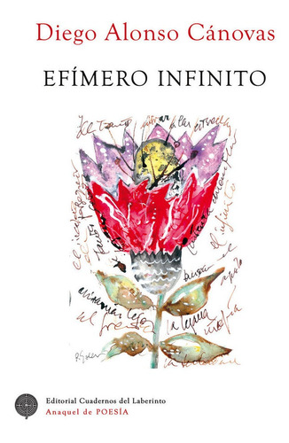 Libro Efimero Infinito