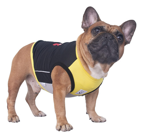 Ichoue Camisas De Secado Rápido Para Perros, Camisa De Enfr