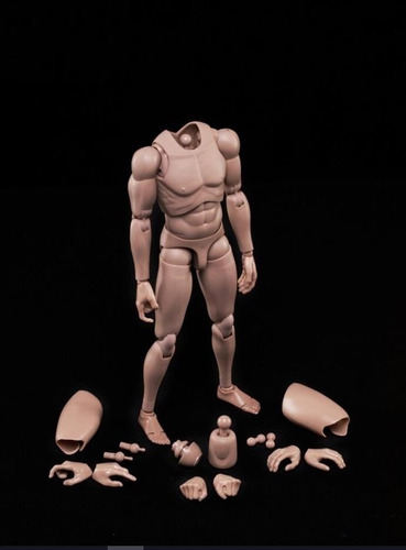 Figura O Cuerpo De 1/6 O 30 Cm Articulado Manos Extras Tt (Usado)