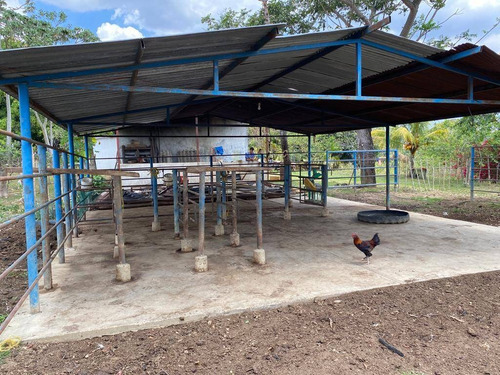Imagen 14 de 14 de Granja En Venta En Valencia