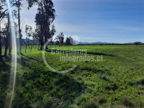 Agrícola En Venta En Retiro, Buenos Suelos, Derechos Agua