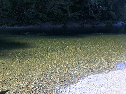 Parcelas En Reserva RÃo San Pedro, Preserva Tu Futuro.