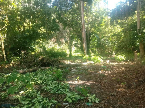 Imagem 3 de 4 de Oportunidade Investimento Lote Em Cumuruxatiba Prado Bahia