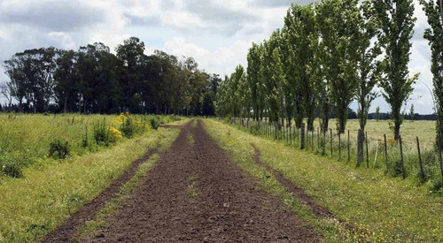 Terreno En Venta En La Cañada City Bell - Alberto Dacal Propiedades