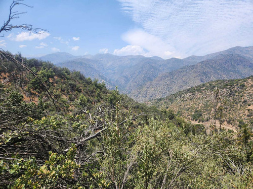 Santuario De La Naturaleza (100786)