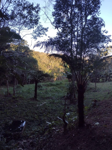Imagem 10 de 14 de Chácara Em Rio Grande Da Serra