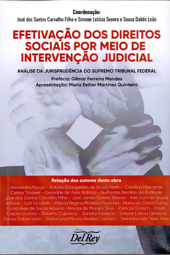 Efetivação Dos Direitos Sociais Por Meio De Intervenção Jud, De Filho, Jose Dos Santos E Leao, Simone. Editora Del Rey Livraria E Editora Em Português