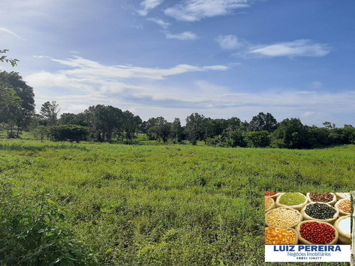 Imagem 2 de 15 de Fazenda À Venda No Vale Do Araguaia / Divinópolis - To - (dupla Aptidão) - 1705