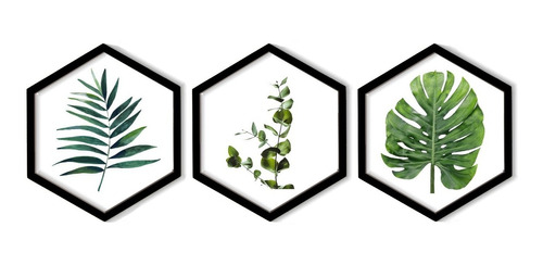Set Cuadros Plantas Modernos Minimalistas Hexagonales