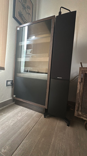 Hegel H190v + Dynaudio Emit 50 Negro 150 W (Usado)