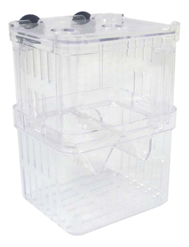 Caja De Cría De Acuario, Fácil De Usar, Tortuga Jugando,