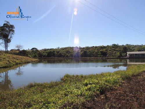 Chácara Com 2 Dormitórios À Venda, 41000 M² Por R$ 600.000,00 - Zona Rural - Corumbá De Goiás/go - Ch0074