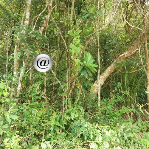 Imagem 7 de 10 de Área Para Venda Em São Roque, Sorocamirim - 119@_2-1571865