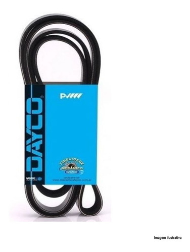 Correia Poly V Dayco Ecosport Focus Fusion Ranger 6pk2240