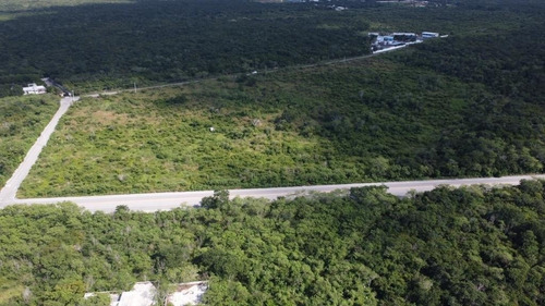 Terreno En Venta, En Mérida, Conkal, Sobre Carretera