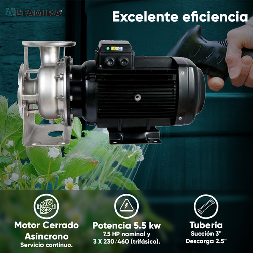 Altamira Bomba De Agua 7.5 Hp Centrífuga Horizontal Monoblock 3 F 230/460v Cuerpo Hidráulico Impulsor Cerrado Acero Inoxidable 2 A 20 Mca Gasto De 1841 Lpm A 12 Mca 1050 Lpm A 20 Mca Flux24-7.53234