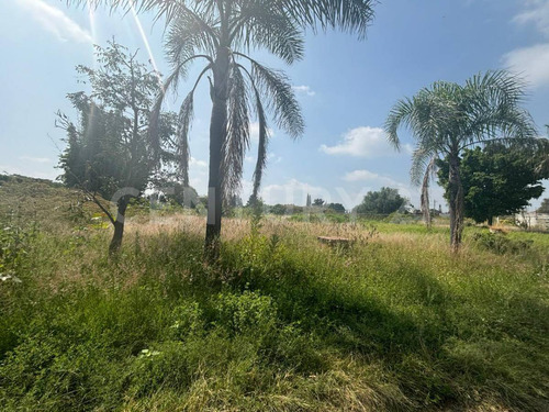 Lote Residencial En Fraccionamiento Los Cipreses, Tenextepec