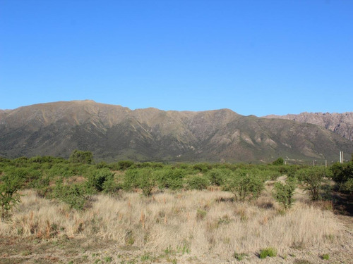 Imagen 10 de 14 de Venta De Lote En Cortaderas Desmalezados