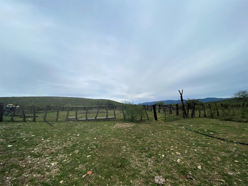Rancho En Venta En Villa Hidalgo Durango