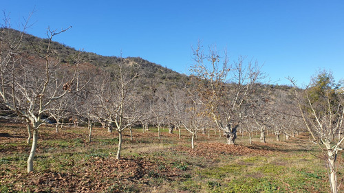 Oportunidad Bajó De Precio Sitio En Pirque Con Vista