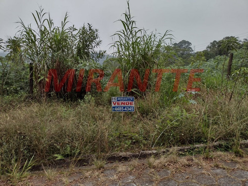 Imagem 5 de 5 de Terreno Em Serra Da Cantareira - São Paulo, Sp - 371762