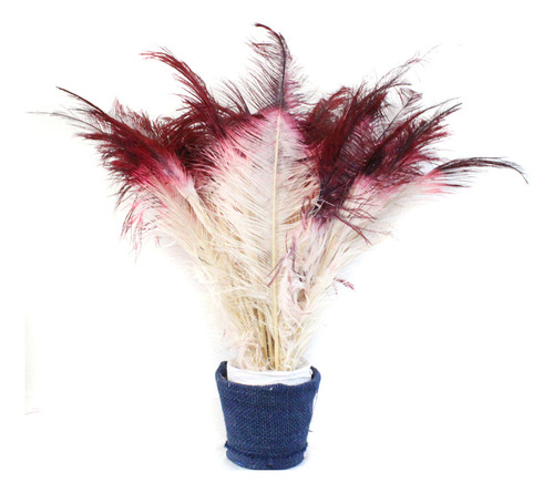 Plumas De Avestruz Palito P/ Decorações 100g Cor Branco/vinho