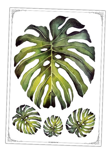 #32 - Hoja Monstera - Lámina Para Transferencias 30 X 40 Cm