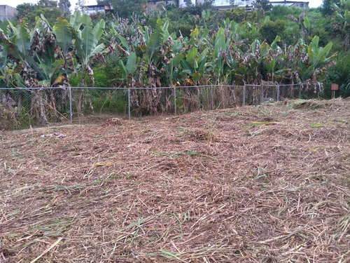 Imagen 8 de 10 de Terreno Polonias Nuevas