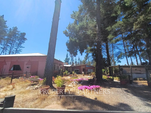 Algarrobo, Bosque De Algarrobo Parcela 100% Plana