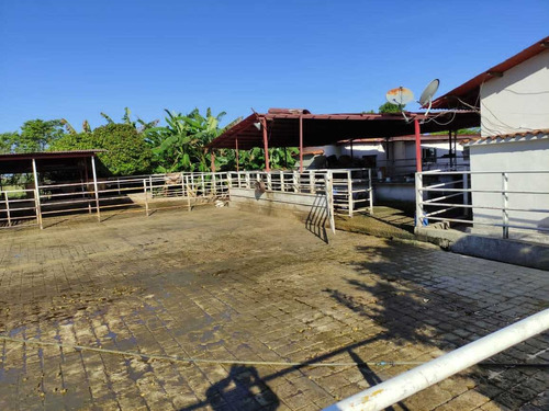 Imagen 6 de 30 de Se Vende Finca Ganadera En El Estado Barinas