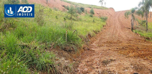 Imagem 3 de 8 de Terreno À Venda, 10000 M² Por R$ 95.000 - Estrada Dos Canjicas - Arujá/sp - Te0099