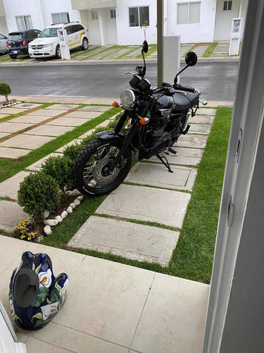 Triumph 2016 Scrambler