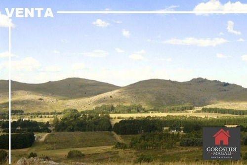 En Venta Campo En Gardey, Camino A Vela. Partido De Tandil