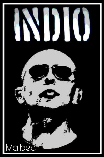 Vino Tinto Indio Solari