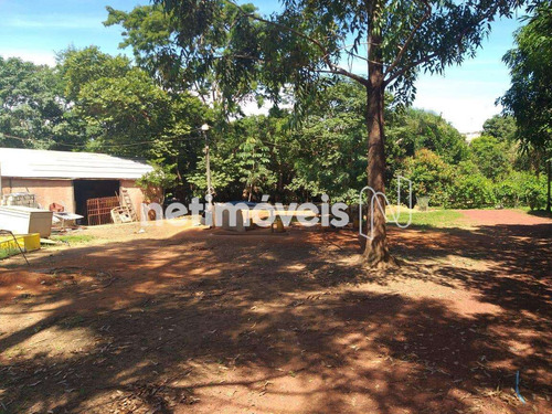 Imagem 21 de 27 de Venda Chácara Ypiranga Valparaíso De Goiás - 839116