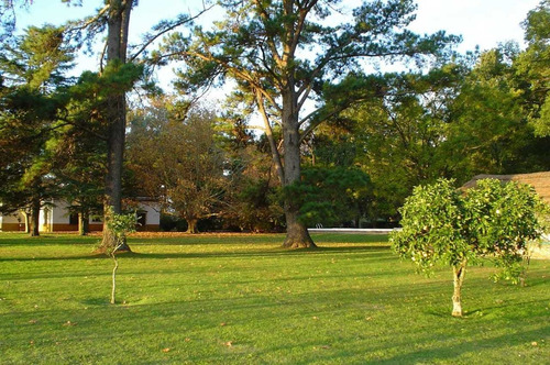 Imagen 3 de 4 de Lote De 1000 M2 En Venta - Campo Daromy - San Vicente