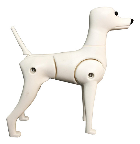 Modelo De Corpo De Cachorro Falso De Cachorro Para Poodle