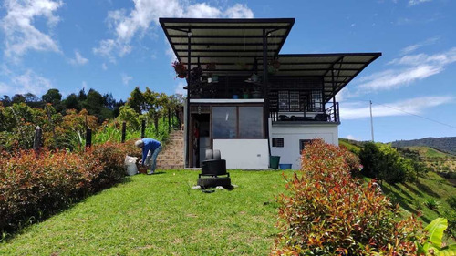 Imagen 6 de 28 de Hermosa Casa Finca En Venta En El Carmen De Viboral Con Linda Vista