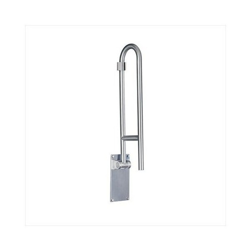 Moen R8960fd 30 Pulgadas Abatible Cuarto De Baño Barra De Su