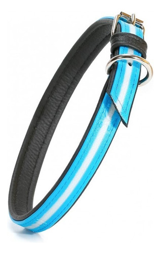Collar Luminoso Idc P/ Perro 214hb-l-r-45