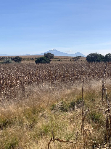 Terreno Ejidal En Tlaxcala